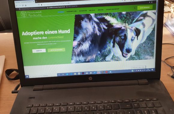 Sie ist ONLINE, modisch chique Sie ist ONLINE, modisch chique