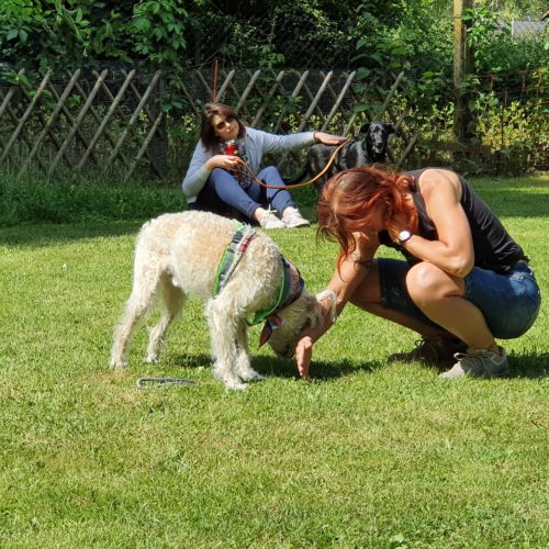 Eva Windisch zu Gast auf dem Tierschutzhof Karlsruhe