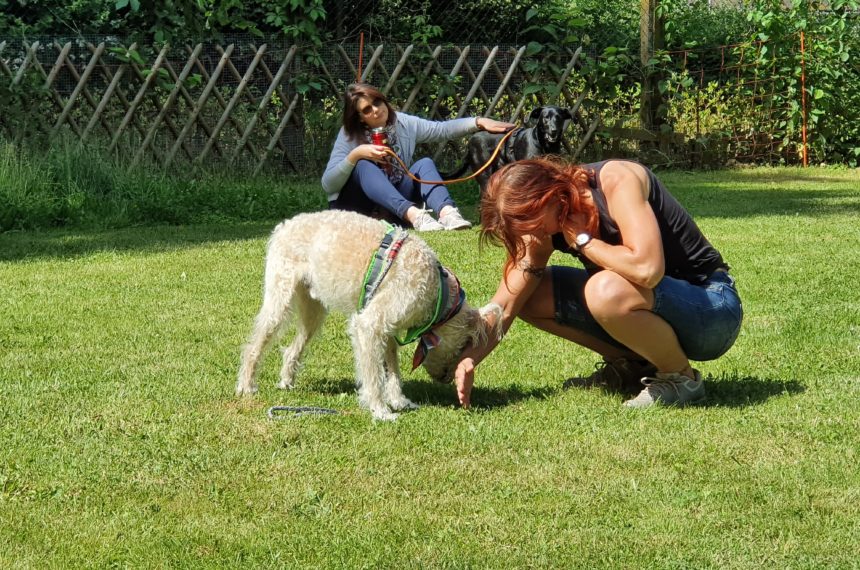 Eva Windisch zu Gast auf dem Tierschutzhof Karlsruhe