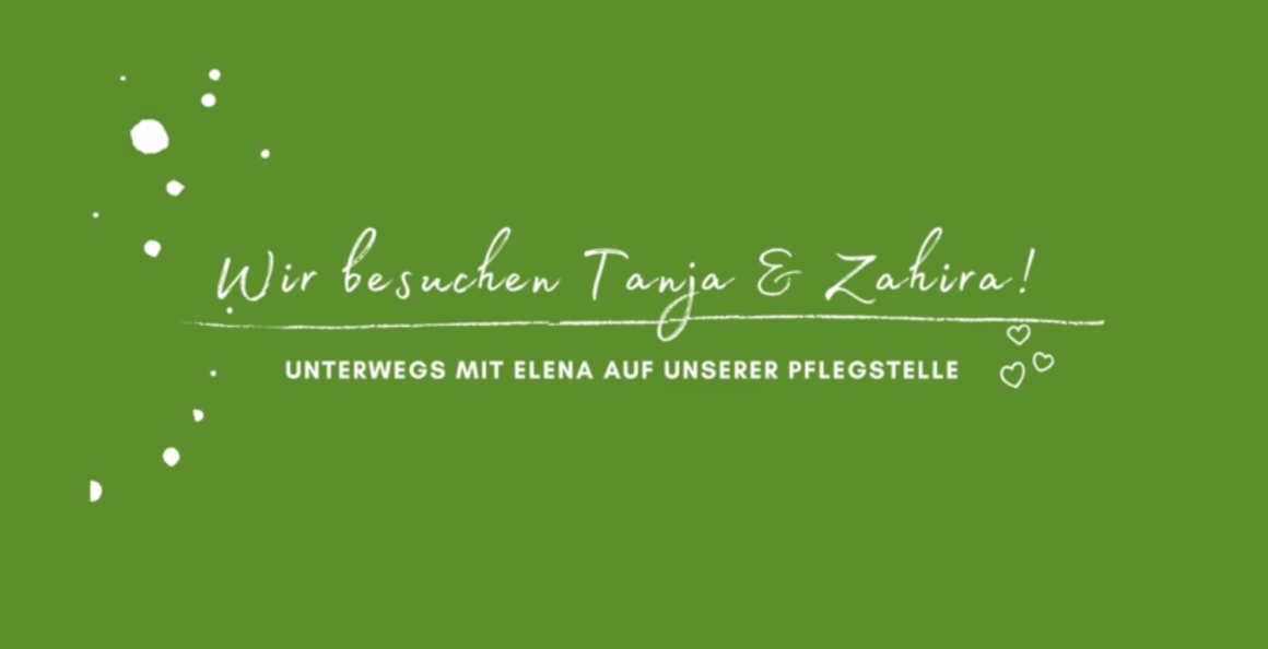 Mit Elena unterwegs: Pflegestelle Tanja Geigis