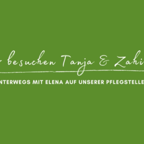 Mit Elena unterwegs: Pflegestelle Tanja Geigis