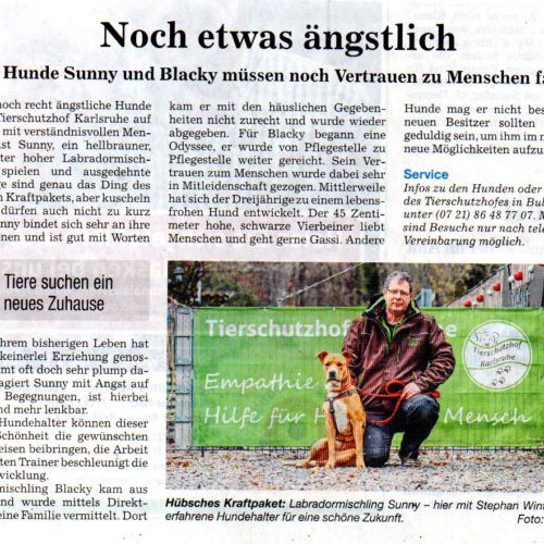 Unsere Hunde erstmals in den Badischen Neuesten Nachrichten BNN