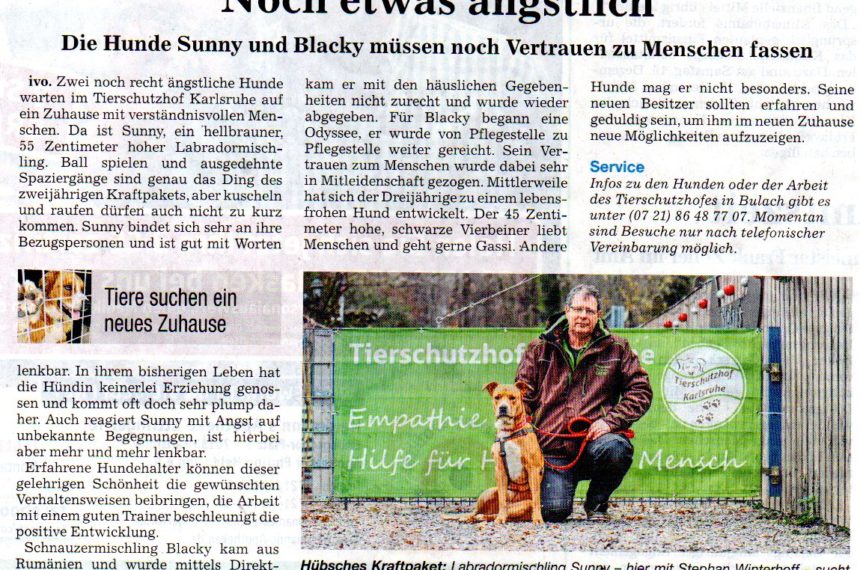 Unsere Hunde erstmals in den Badischen Neuesten Nachrichten BNN