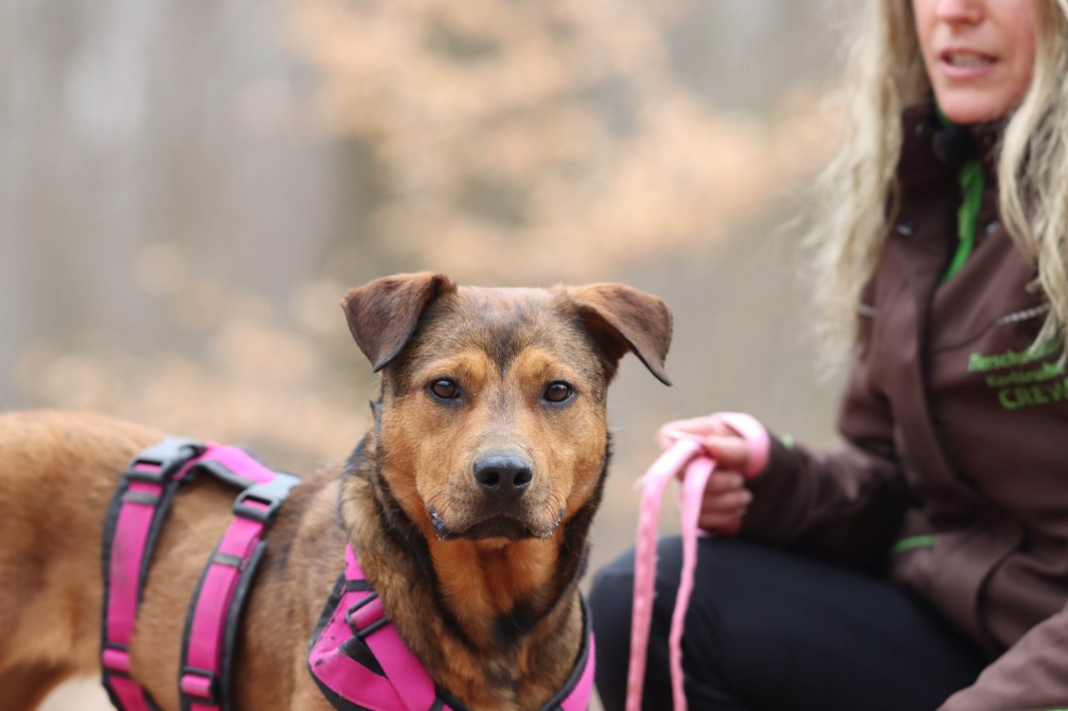 Pinky Tierschutzhof Karlsruhe e.V.