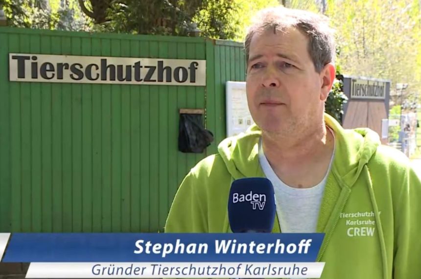 Baden TV zu Besuch auf dem Tierschutzhof Karlsruhe