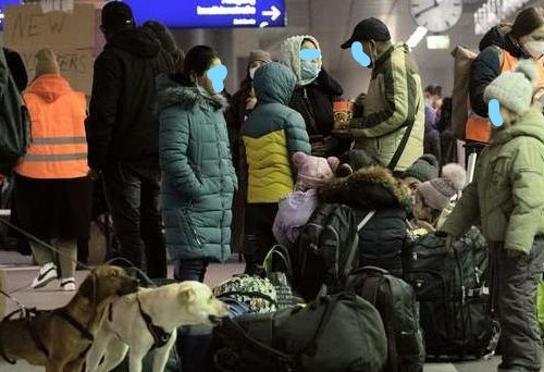 Einreise mit Heimtieren aus der Ukraine – vorübergehend erleichterte Bedingungen