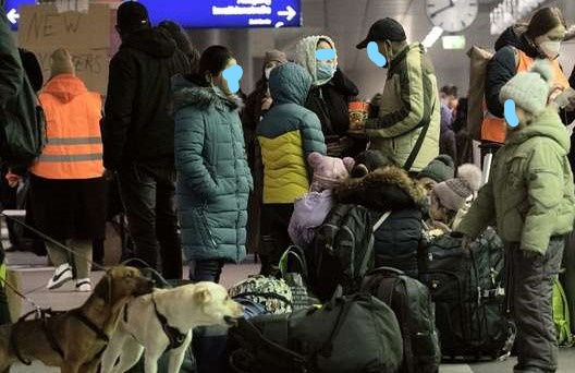 Einreise mit Heimtieren aus der Ukraine – vorübergehend erleichterte Bedingungen