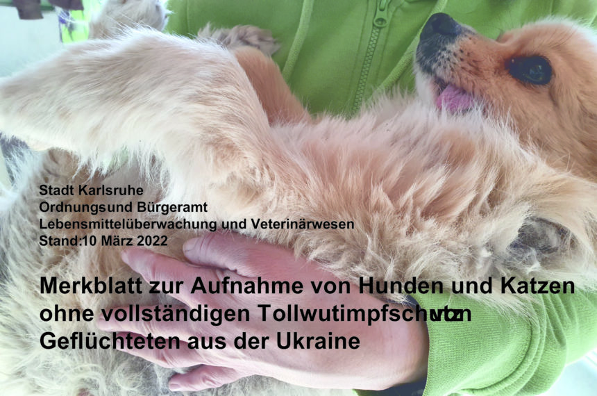 Heimtierquarantäne für Hunde und Katzen aus der Ukraine