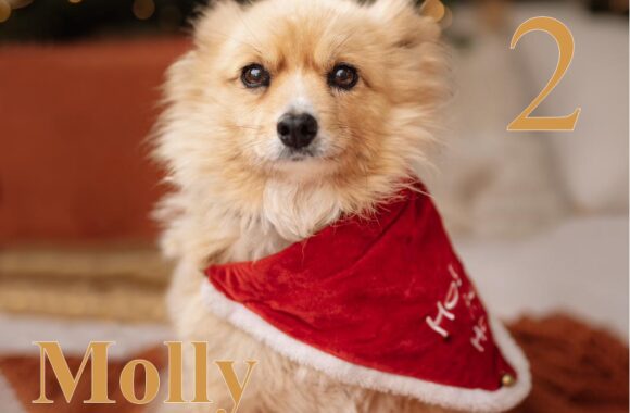 Molly