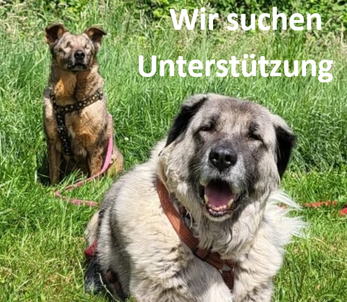 Der Tierschutzhof Karlsruhe e. V. sucht für Verstärkung