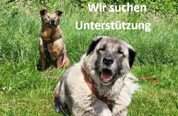 Der Tierschutzhof Karlsruhe e. V. sucht für Verstärkung