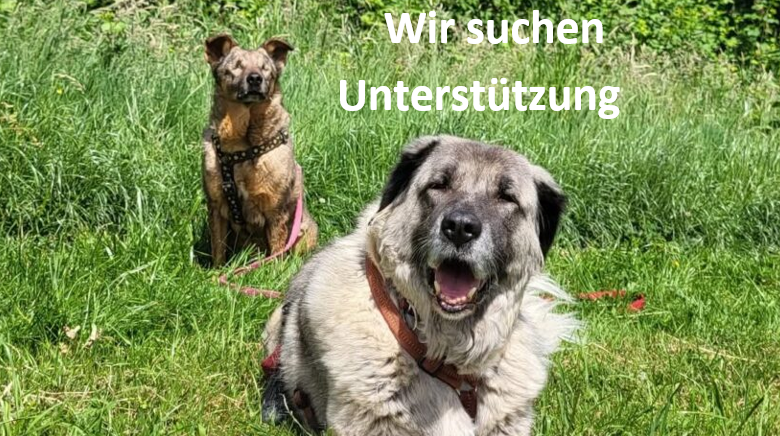 Der Tierschutzhof Karlsruhe e. V. sucht für Verstärkung Der Tierschutzhof Karlsruhe e. V. sucht für Verstärkung