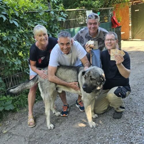 Besuch auf dem Tierschutzhof Karlsruhe Besuch auf dem Tierschutzhof Karlsruhe