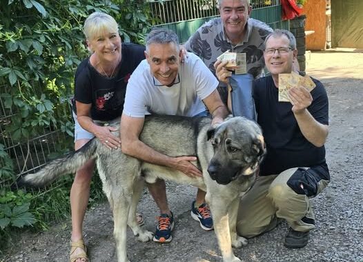 Besuch auf dem Tierschutzhof Karlsruhe